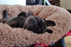 IMG_20210425_131623